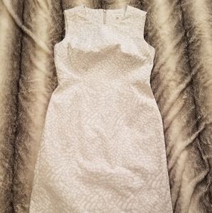 Calvin Klein Dress